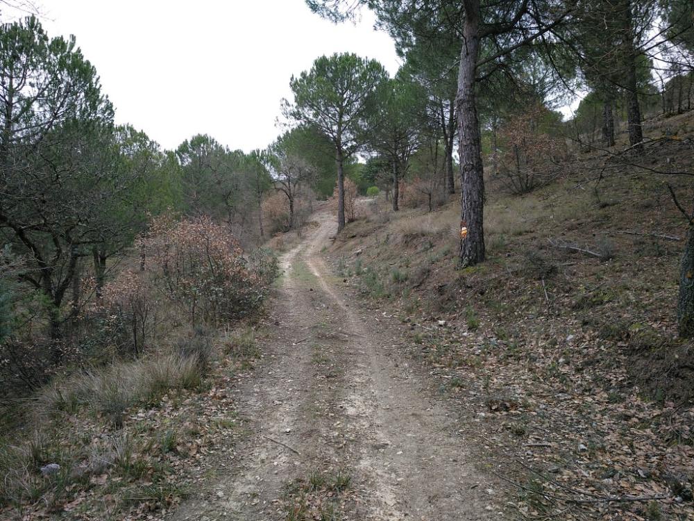 תמונה RUTA SENDERO DE LA ATAYALA (PRC-VA 49)